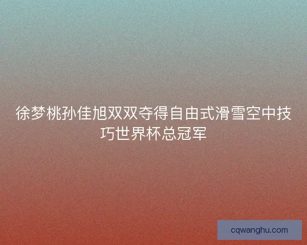 徐梦桃孙佳旭双双夺得自由式滑雪空中技巧世界杯总冠军